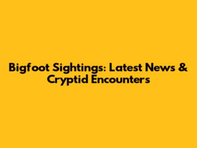 Bigfoot Sightings: Latest News & Cryptid Encounters