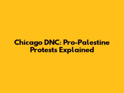 Chicago DNC: Pro-Palestine Protests Explained