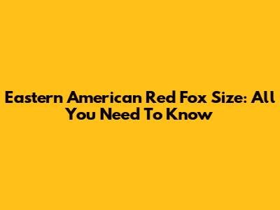 Eastern American Red Fox Size: All You Need To Know