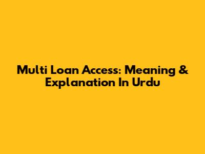 Multi Loan Access: Meaning & Explanation In Urdu