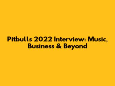 Pitbull's 2022 Interview: Music, Business & Beyond
